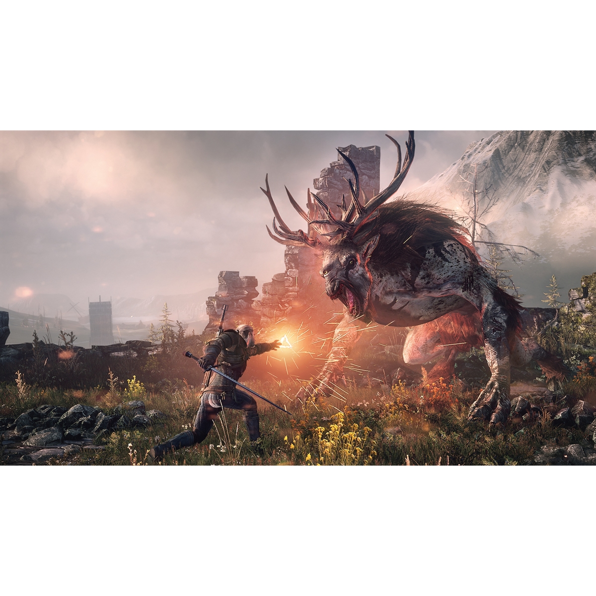 CD Project Red The Witcher 3: Wild Hunt (International Version) Video Game for PlayStation 4