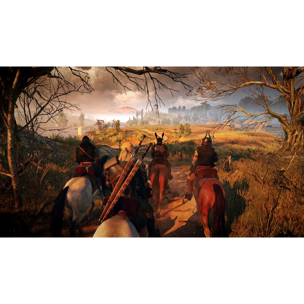 CD Project Red The Witcher 3: Wild Hunt (International Version) Video Game for PlayStation 4