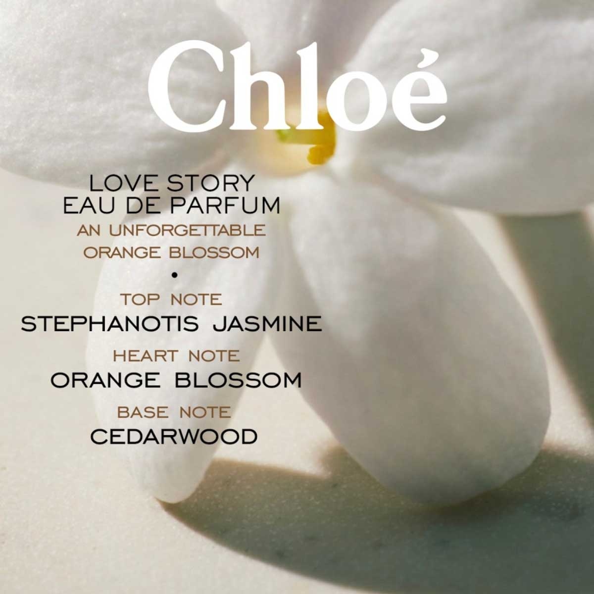 Chloe Love Story Eau De Parfum for Women