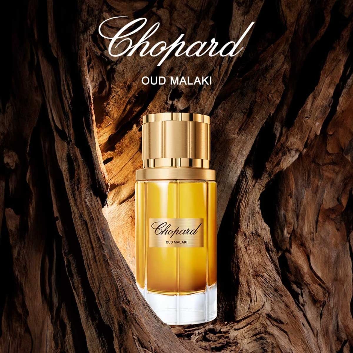 Chopard Oud Malaki Eau De Parfum for Men