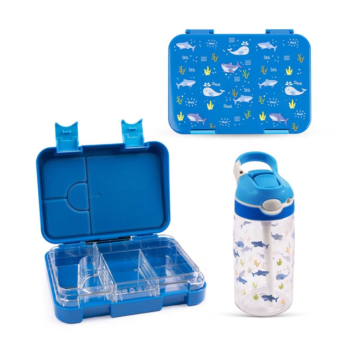 Cocobee Blue 6-Compartment Kids Bento Lunch Box with Ocean Tritan Water Bottle