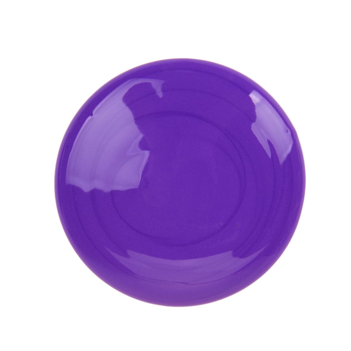 Crayola 16 oz. Non-Toxic Brown Washable Paint Unisex, 3-4 Years