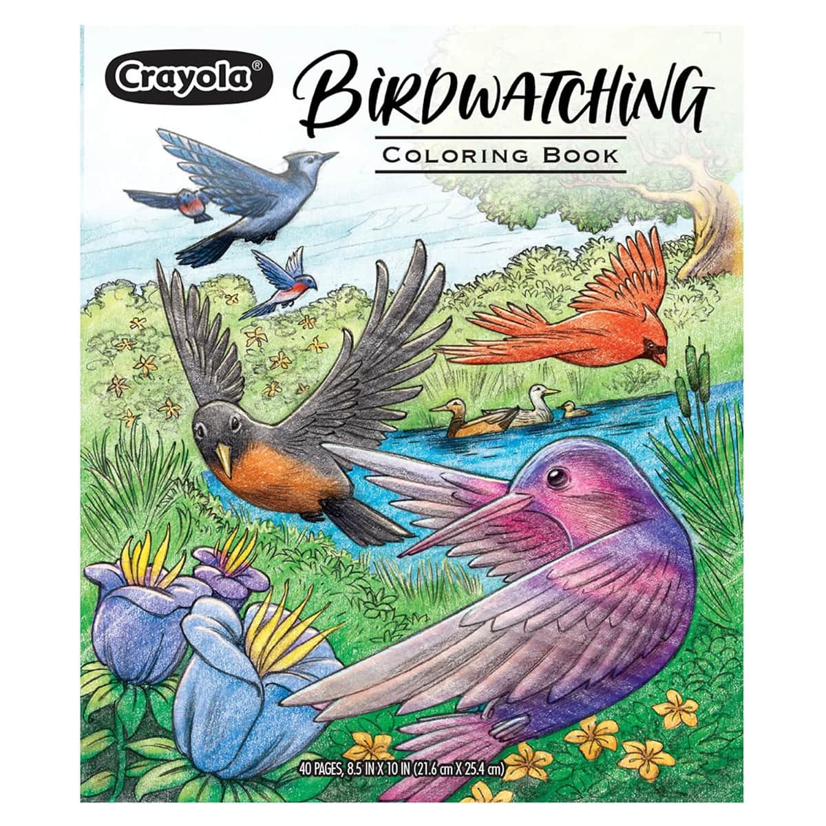 Crayola Bird Watching Colouring Book Unisex, 3-4 Years