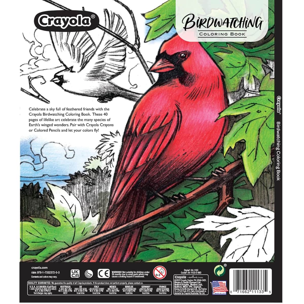 Crayola Bird Watching Colouring Book Unisex, 3-4 Years