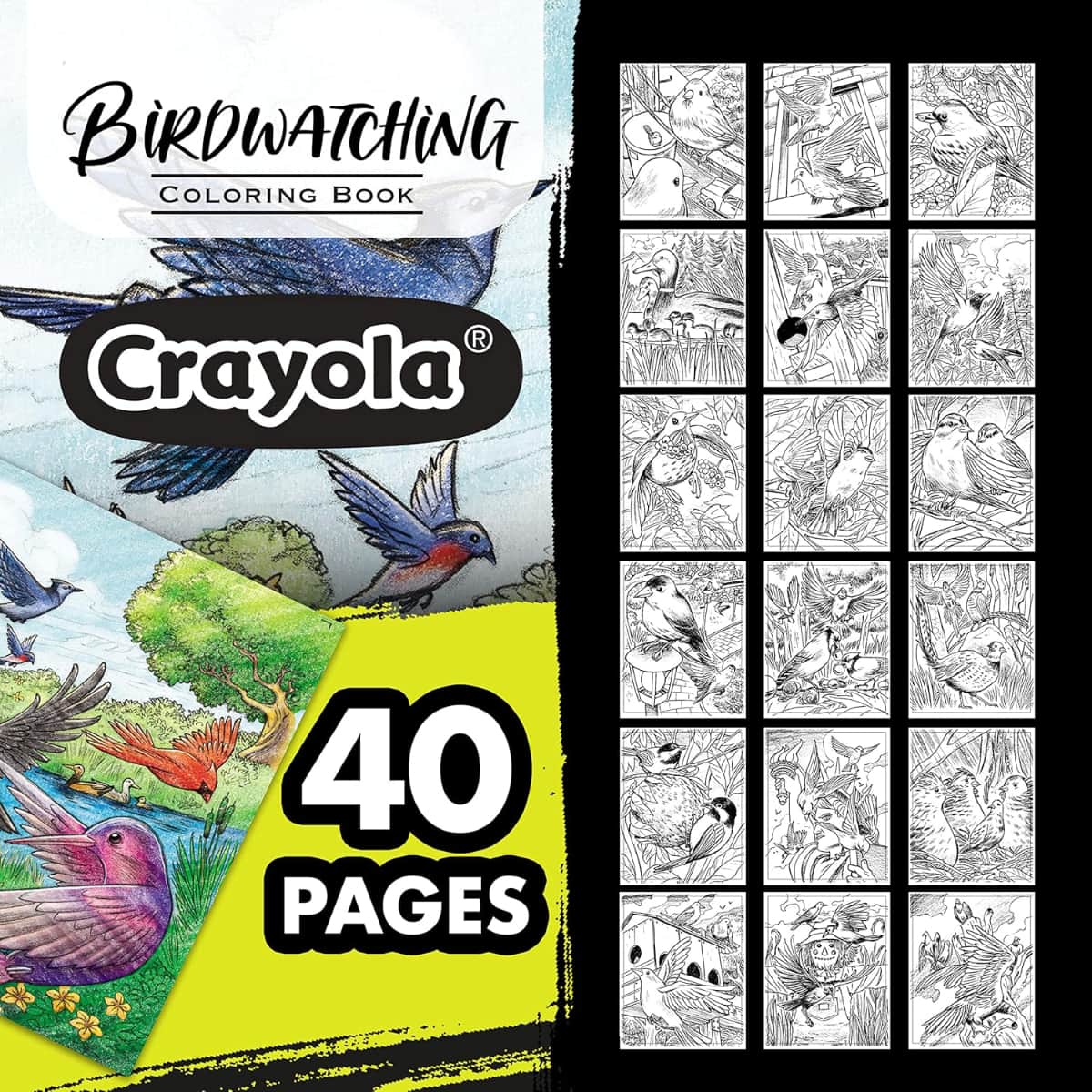 Crayola Bird Watching Colouring Book Unisex, 3-4 Years