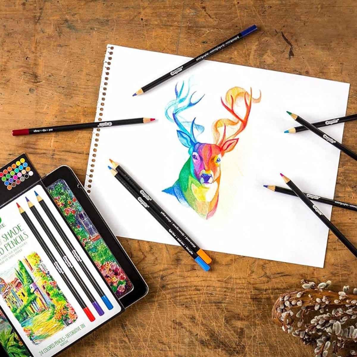 Crayola Blend & Shade Coloured Pencils Unisex, 8-10 Years, Pack of 24