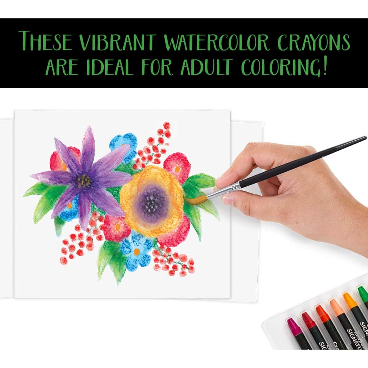 Crayola Signature Premium Watercolour Crayon Set Unisex, 13+ Years, Pack of 12