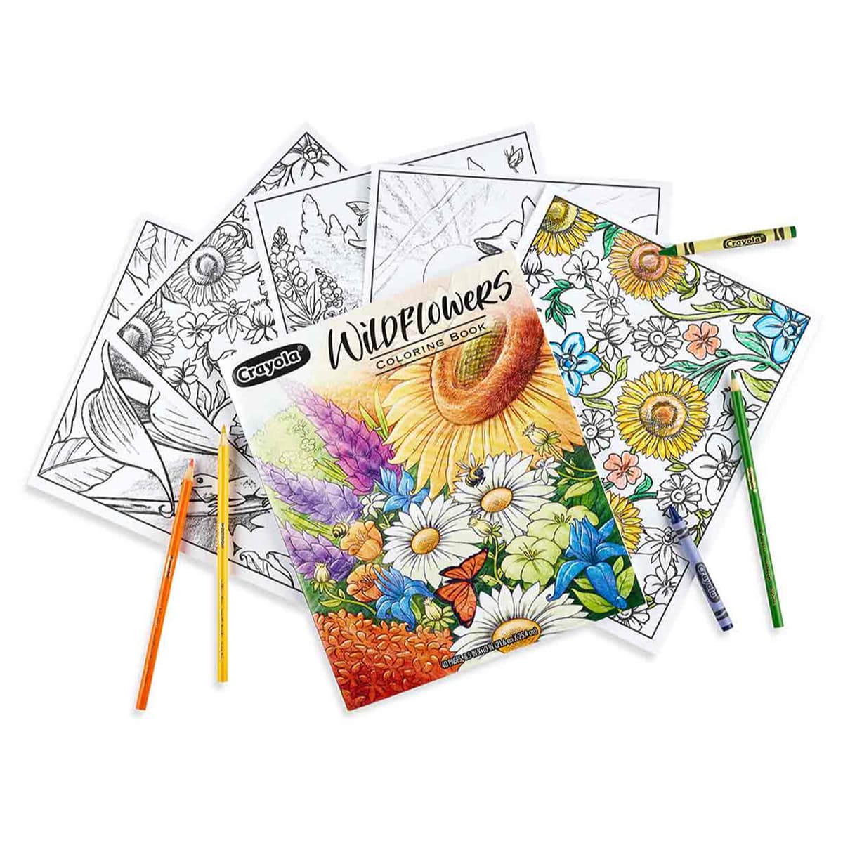 Crayola Wildflowers Colouring Book Unisex, 3-4 Years