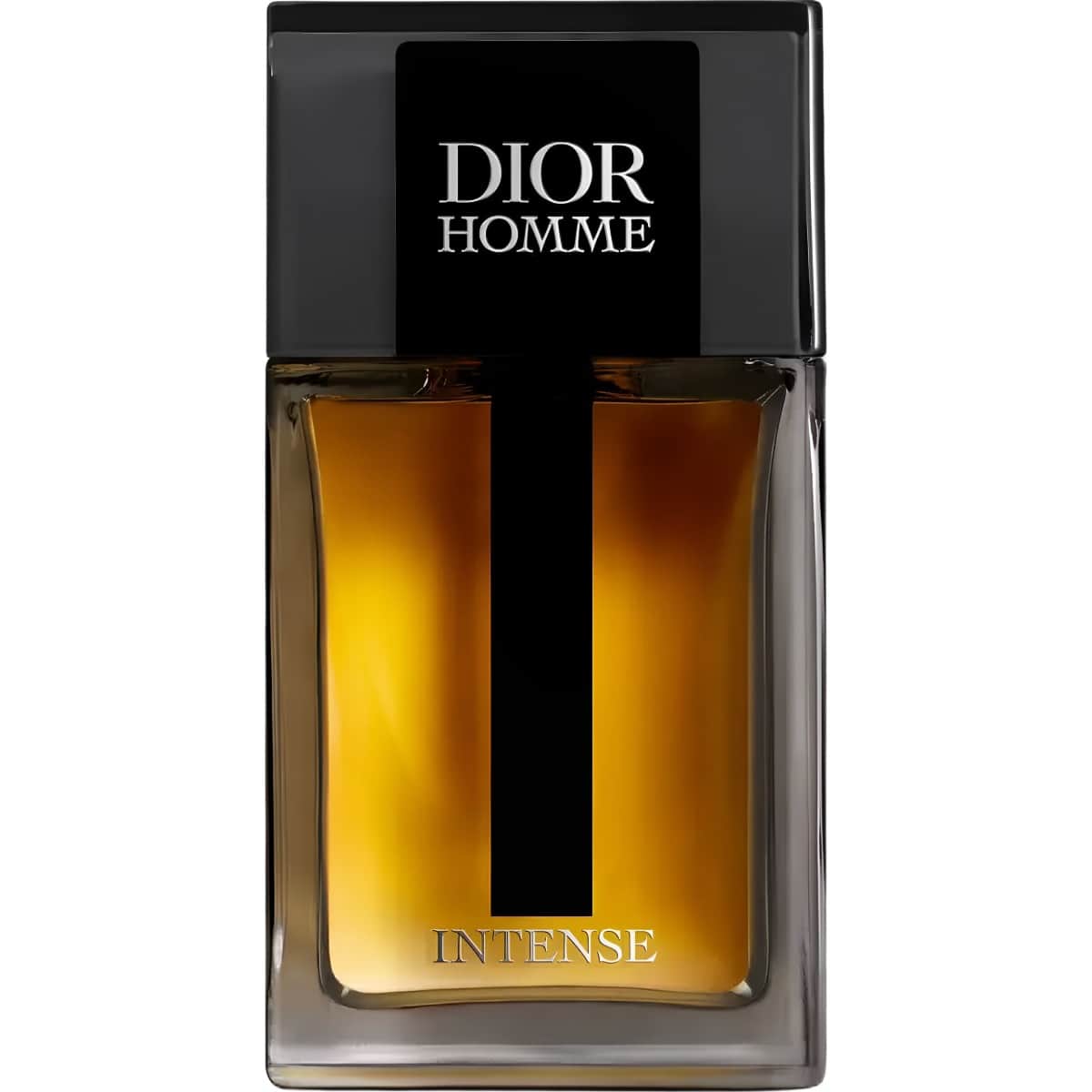 Dior Homme 2025 Parfum for Men