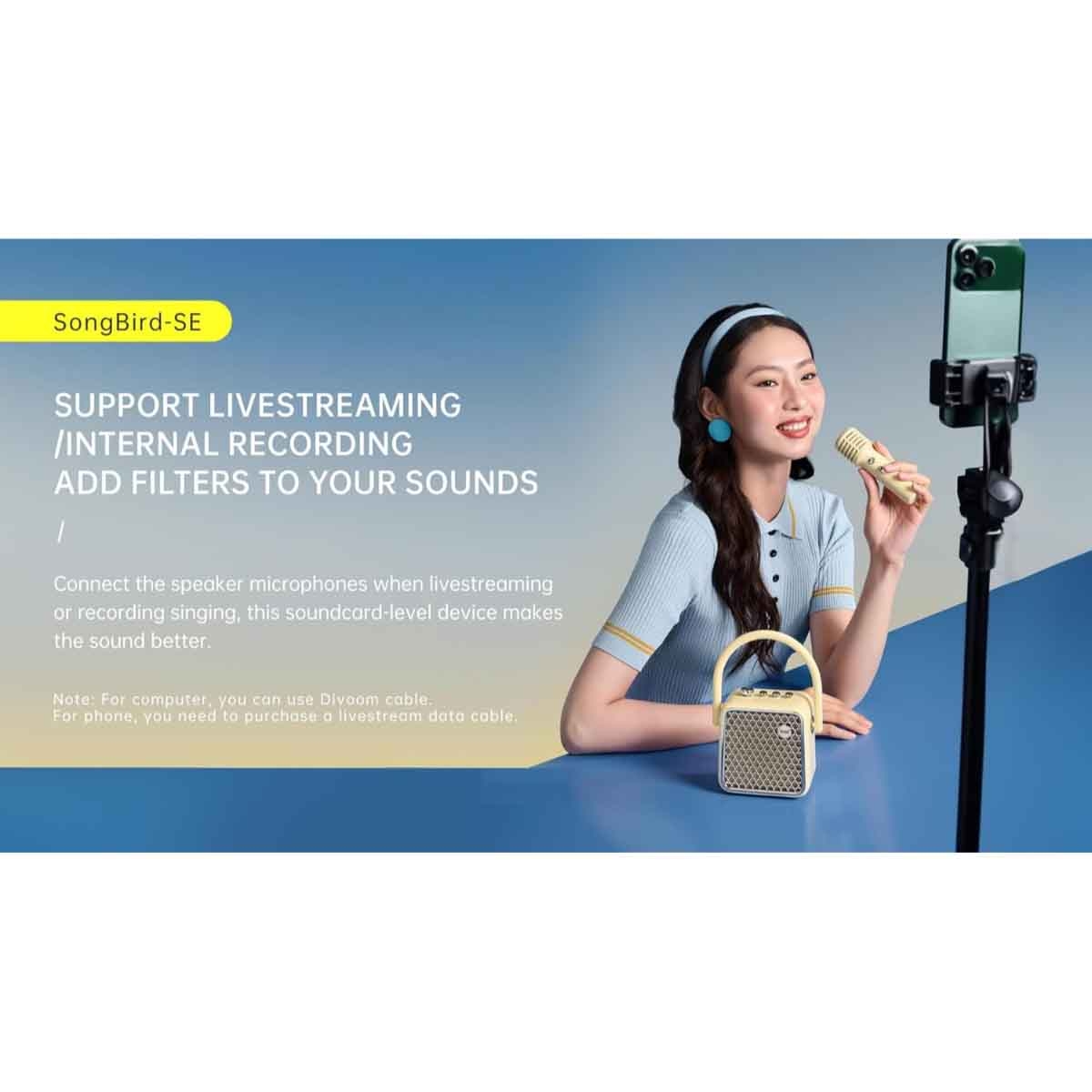 Divoom SongBird SE Portable Dual Microphone & Speaker Set