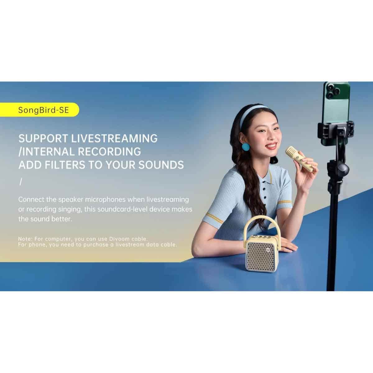 Divoom SongBird SE Portable Dual Microphone & Speaker Set