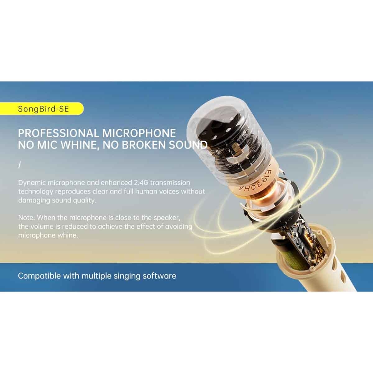 Divoom SongBird SE Portable Dual Microphone & Speaker Set