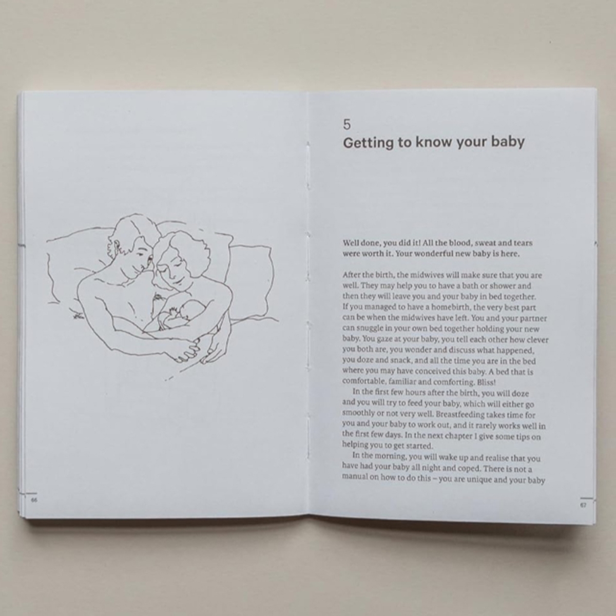 Do Birth : A Gentle Guide to Labour and Childbirth by Caroline Flint - 2 Nov 2023