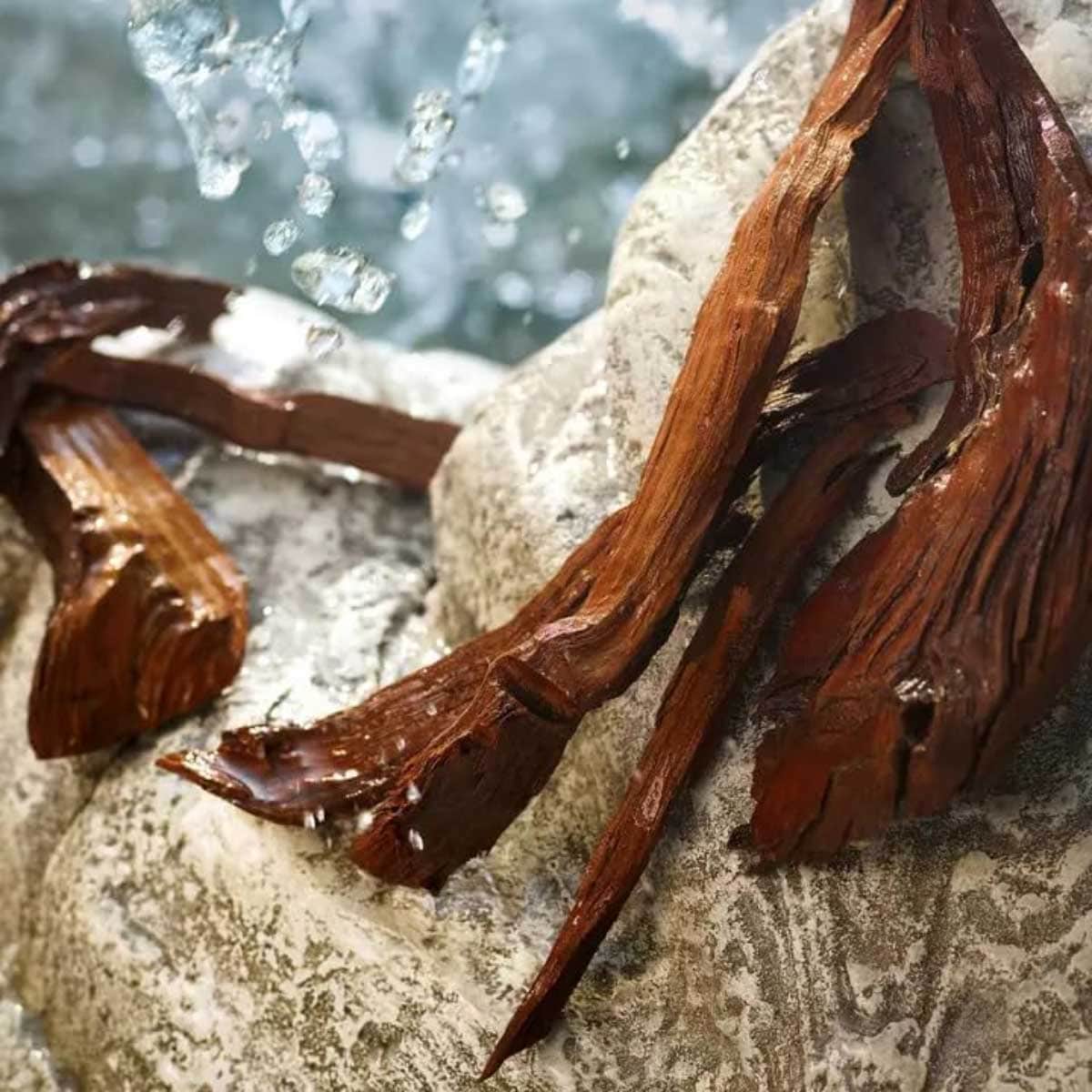 دولتشي آند غابانا لايت بلو أو دو تواليت للنساء