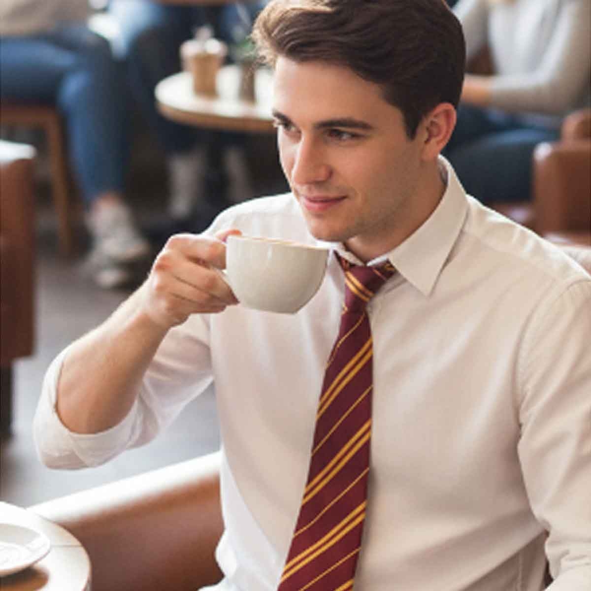 Harry Potter Gryffindor Tie