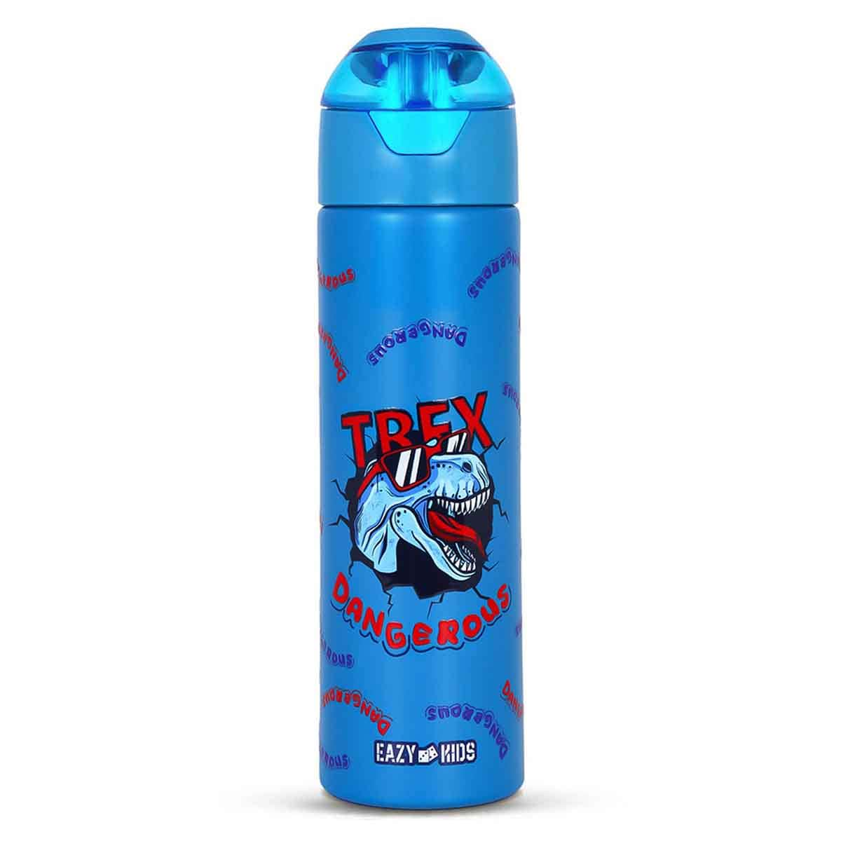 Eazy Kids 640ml Double Wall Insulated Steel Dinosaur Water Bottle with Spray Unisex, 3-4 Years