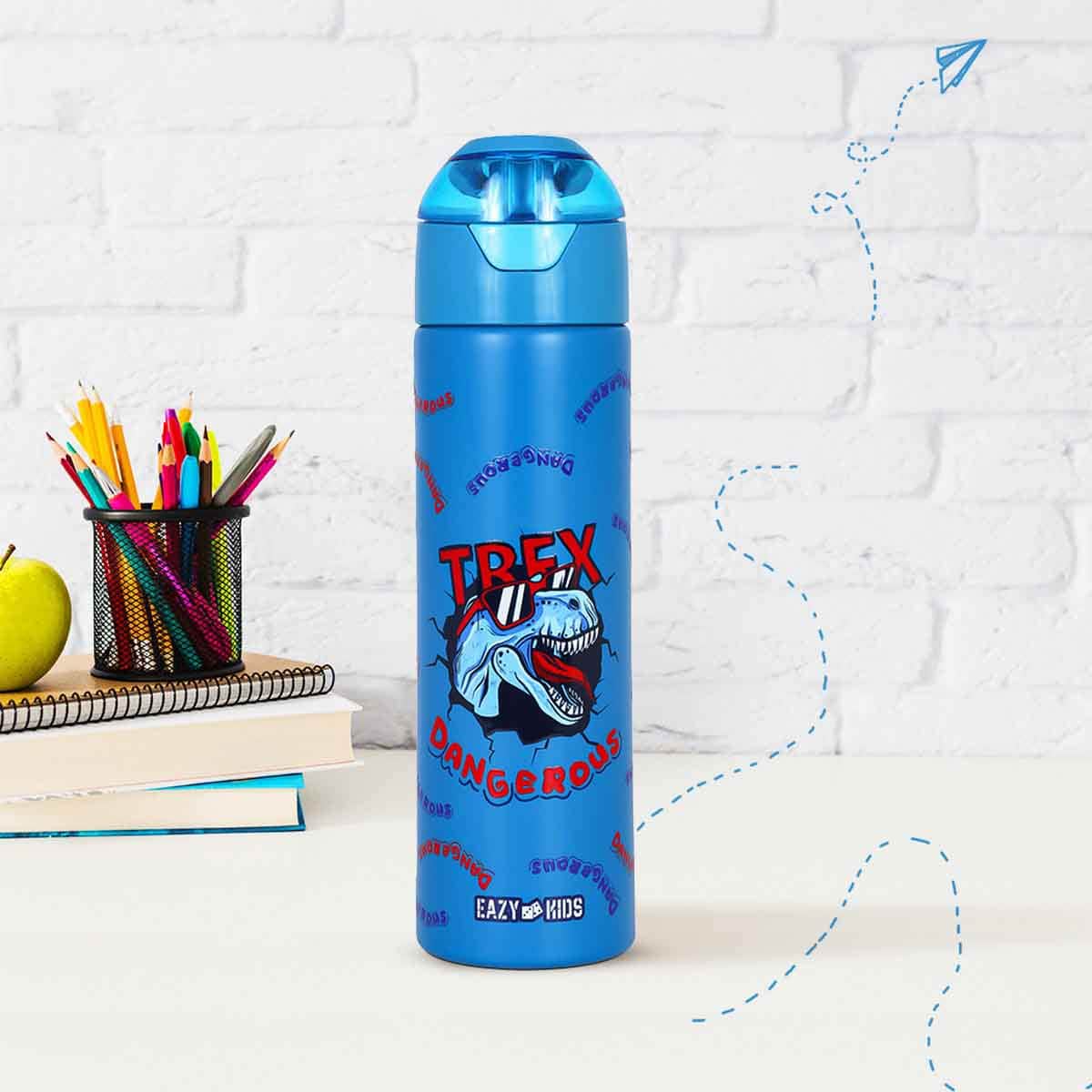 Eazy Kids 640ml Double Wall Insulated Steel Dinosaur Water Bottle with Spray Unisex, 3-4 Years