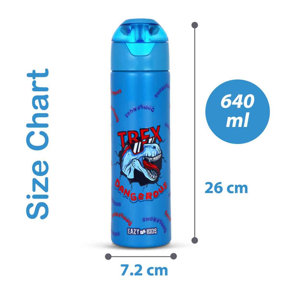 Eazy Kids 640ml Double Wall Insulated Steel Dinosaur Water Bottle with Spray Unisex, 3-4 Years