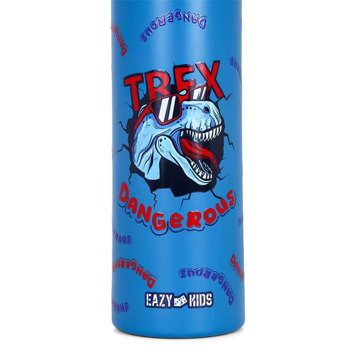Eazy Kids 640ml Double Wall Insulated Steel Dinosaur Water Bottle with Spray Unisex, 3-4 Years