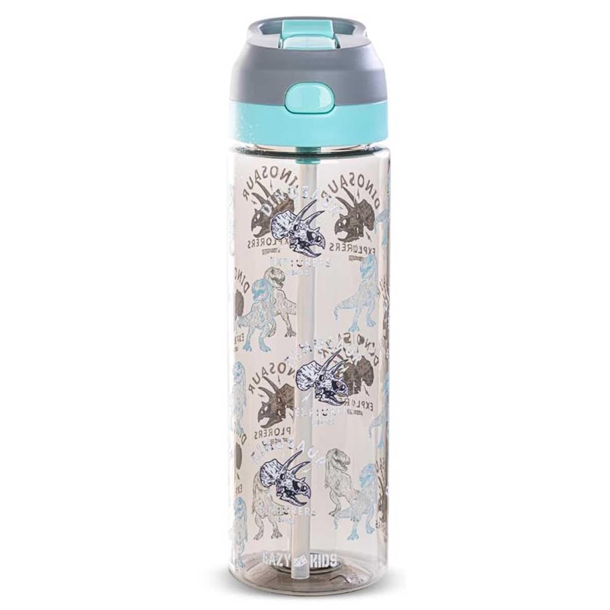 Eazy Kids 750ml Grey Dinosaur Tritan Water Bottle with Spray