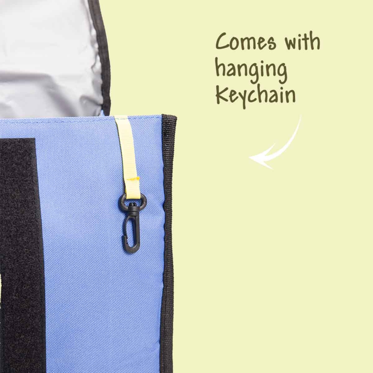 Eazy Kids Foldable & Stylish Insulated Lunch Bag