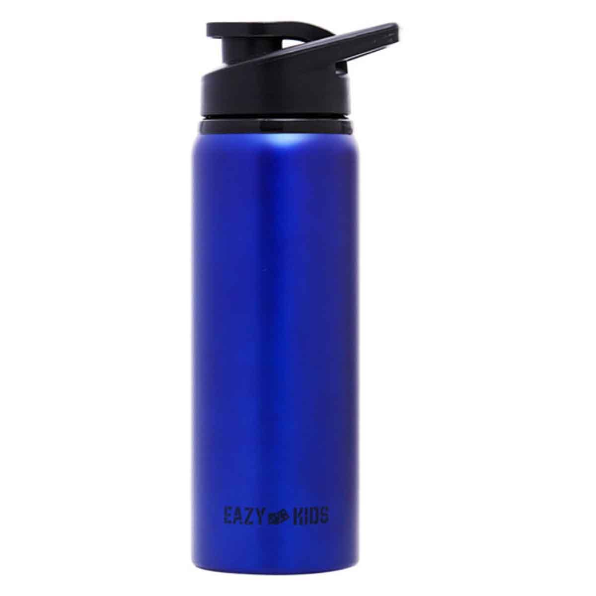 Eazy Kids 700ml Stainless Steel Sports Water Bottle