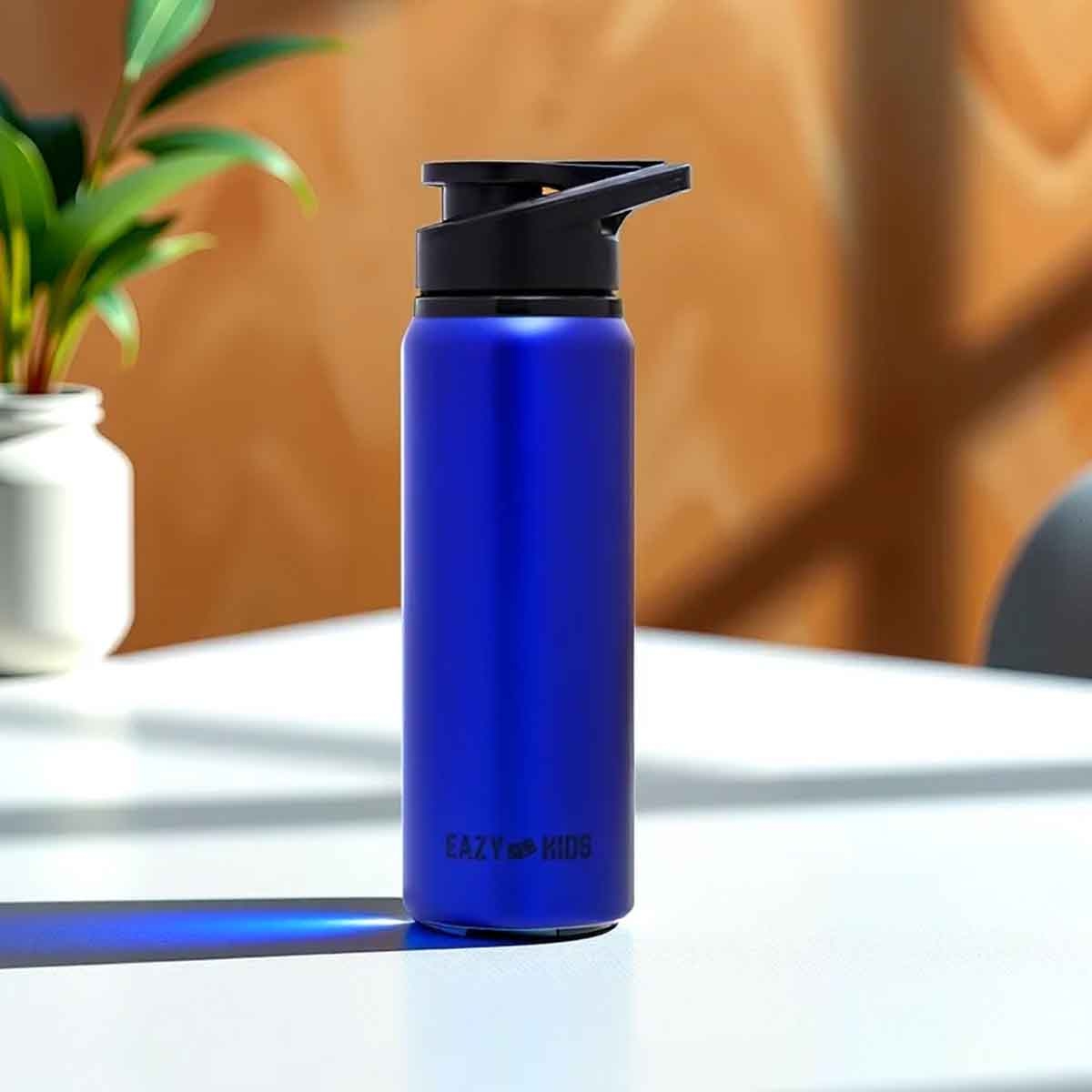 إيزي كيدز زجاجة ماء رياضية ستانلس ستيل 700 مل