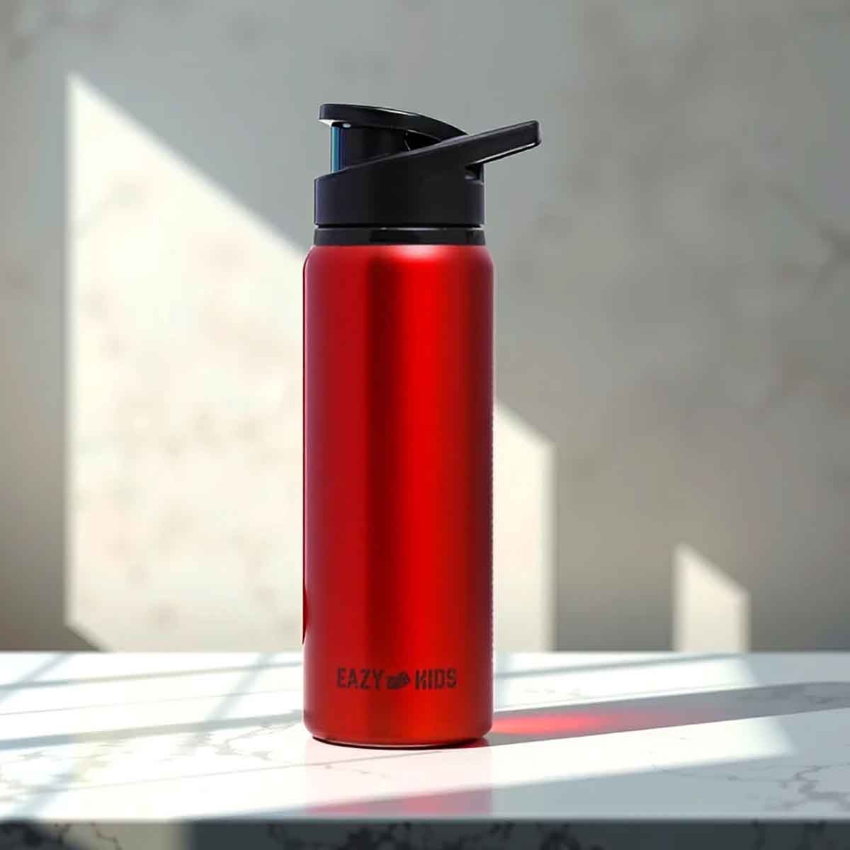 Eazy Kids 700ml Red Stainless Steel Sports Water Bottle