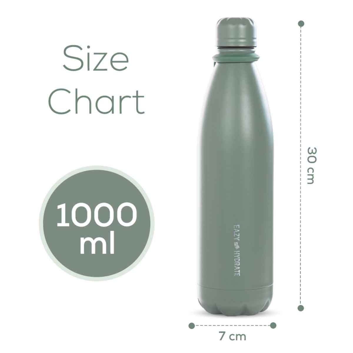 Eazy Kids 1L Steel Water Bottle