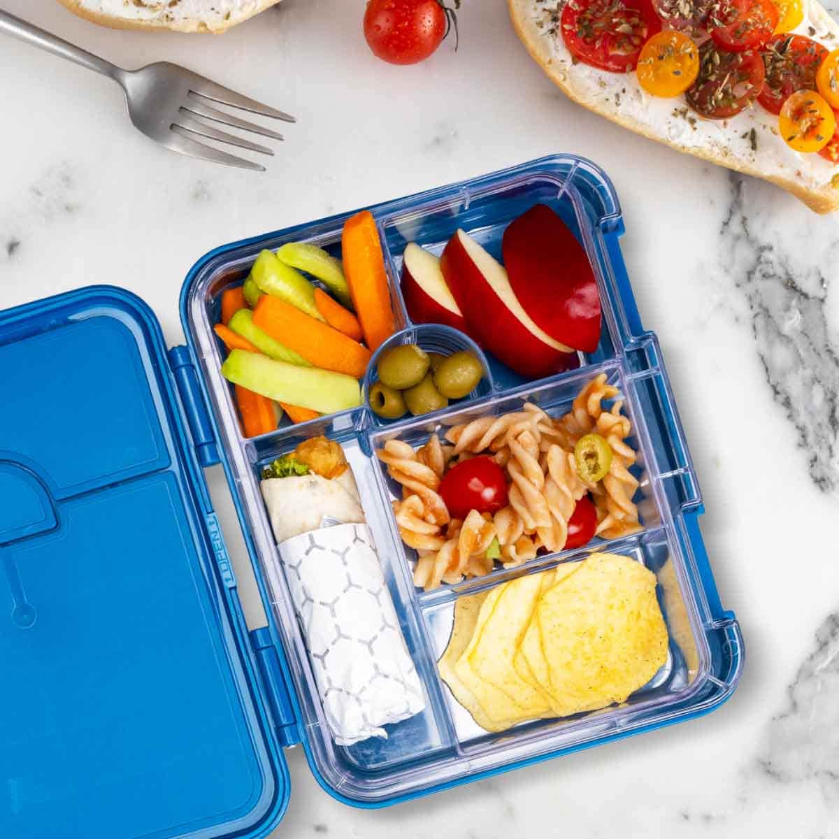 Eazy Kids T-Rex Dino Blue 6 & 4 Convertible Bento Lunch Box with Sandwich Cutter Set