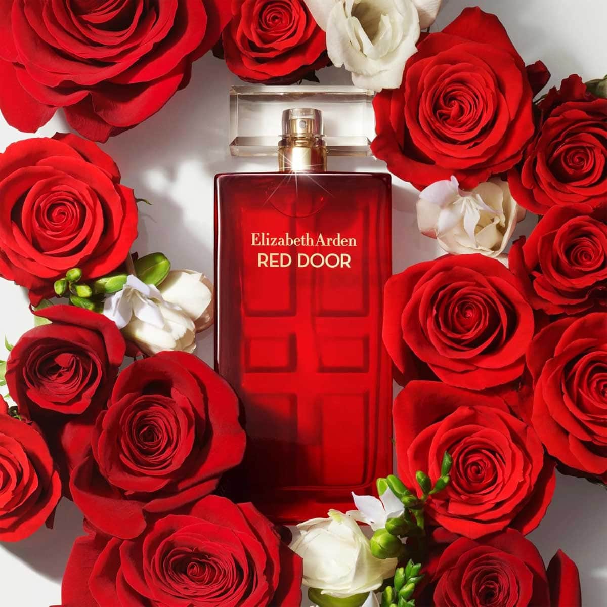 Elizabeth Arden Red Door Eau De Toilette for Women