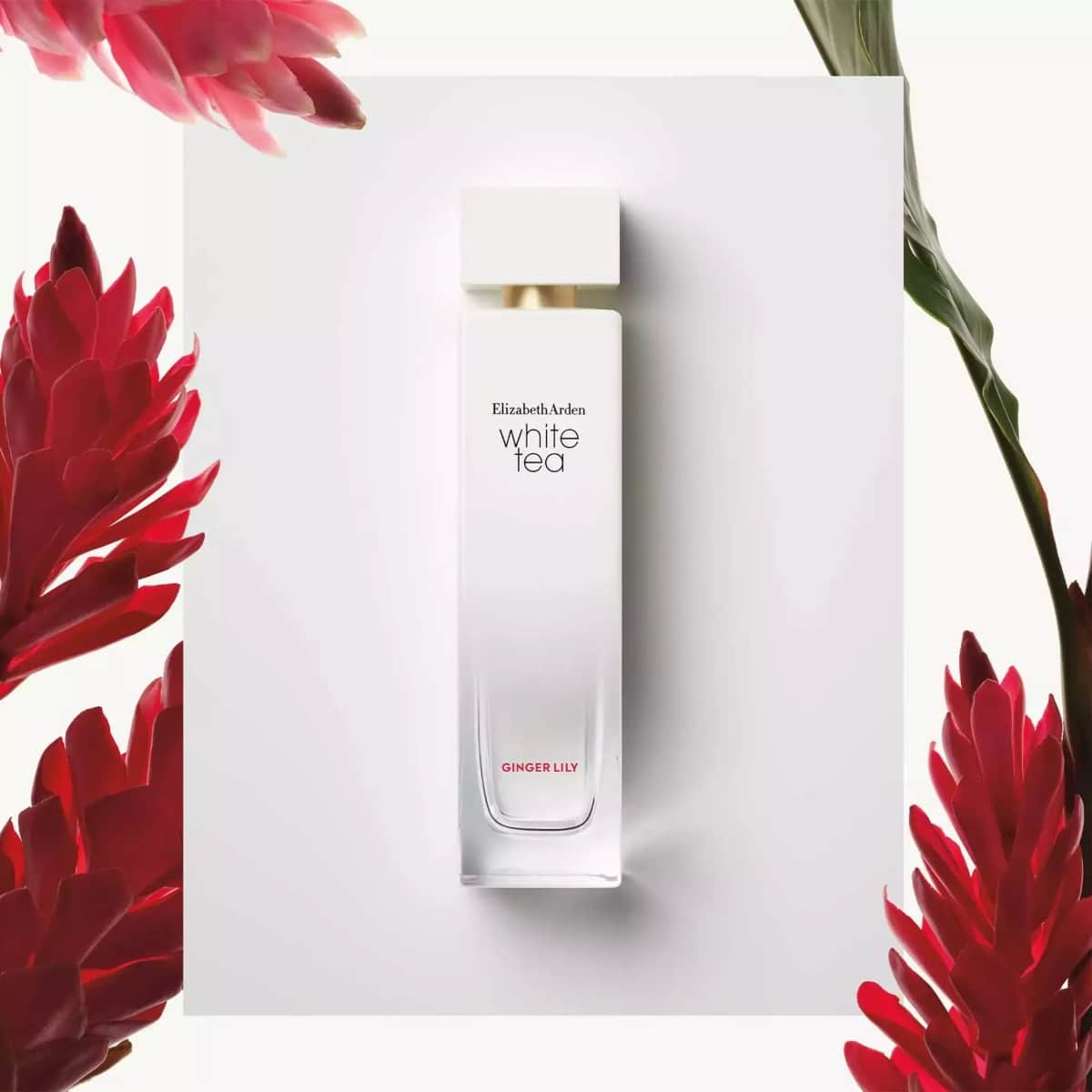 Elizabeth Arden White Tea Ginger Lily Eau De Toilette for Women