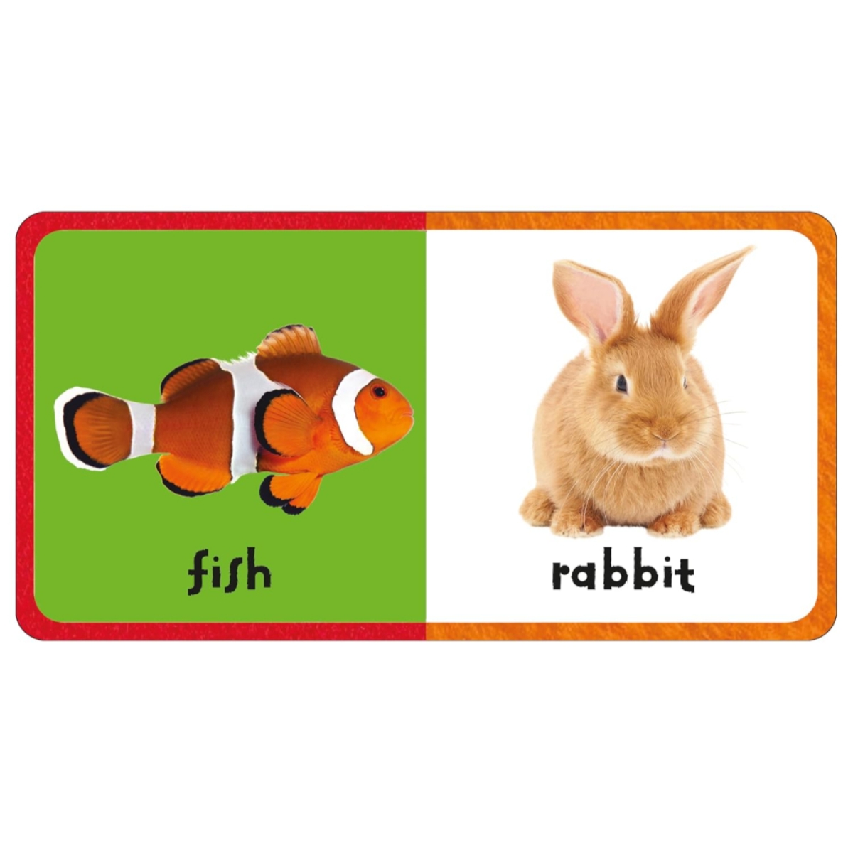 First Felt: Animals من تأليف بريدي بوكس – 18 يناير 2024