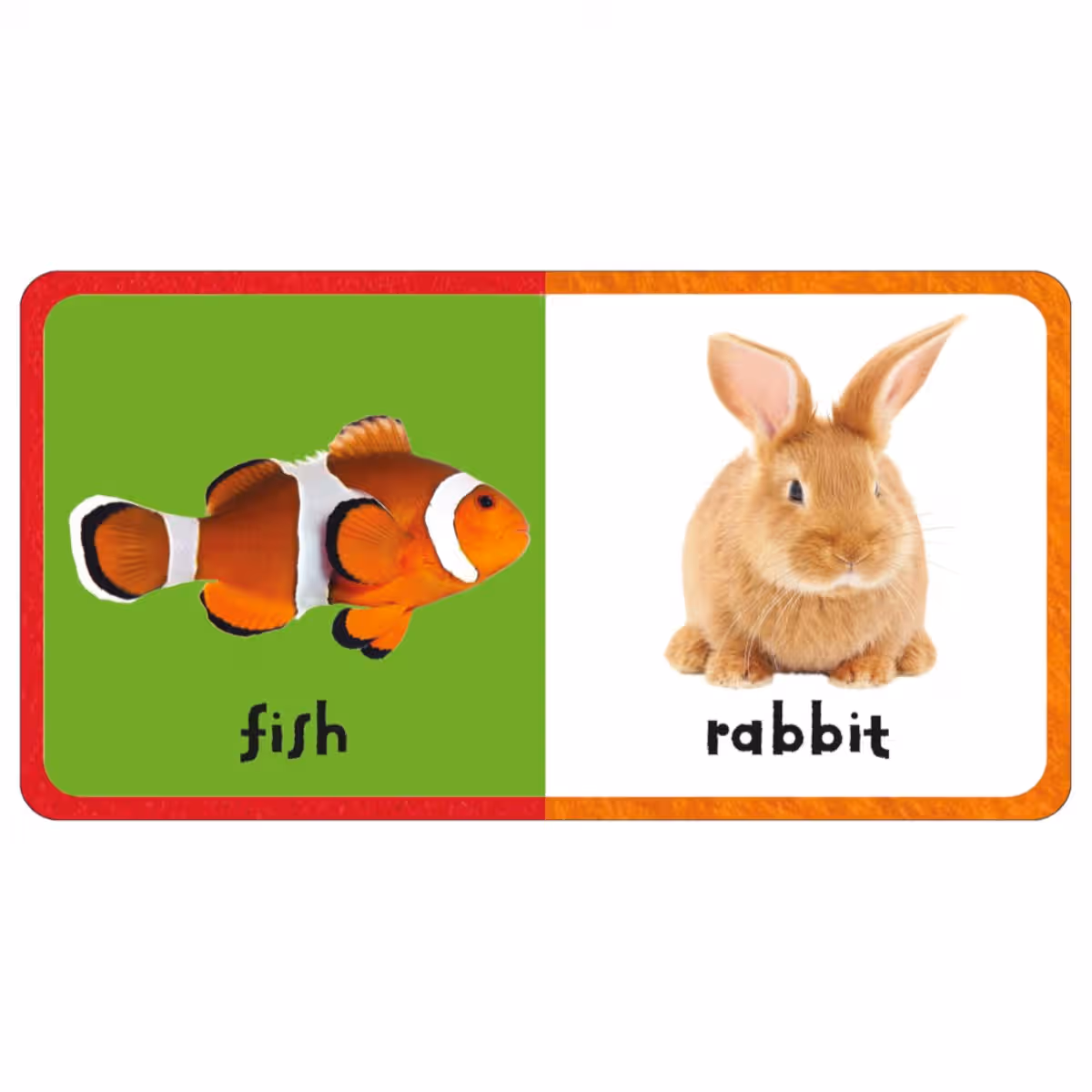 First Felt: Animals من تأليف بريدي بوكس – 18 يناير 2024