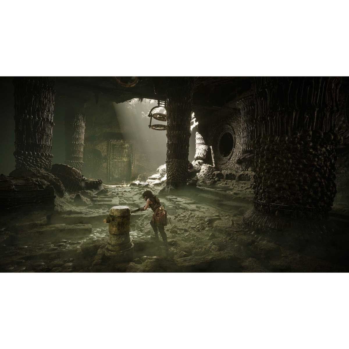 Focus Resonance: A Plague Tale Legacy Video Game