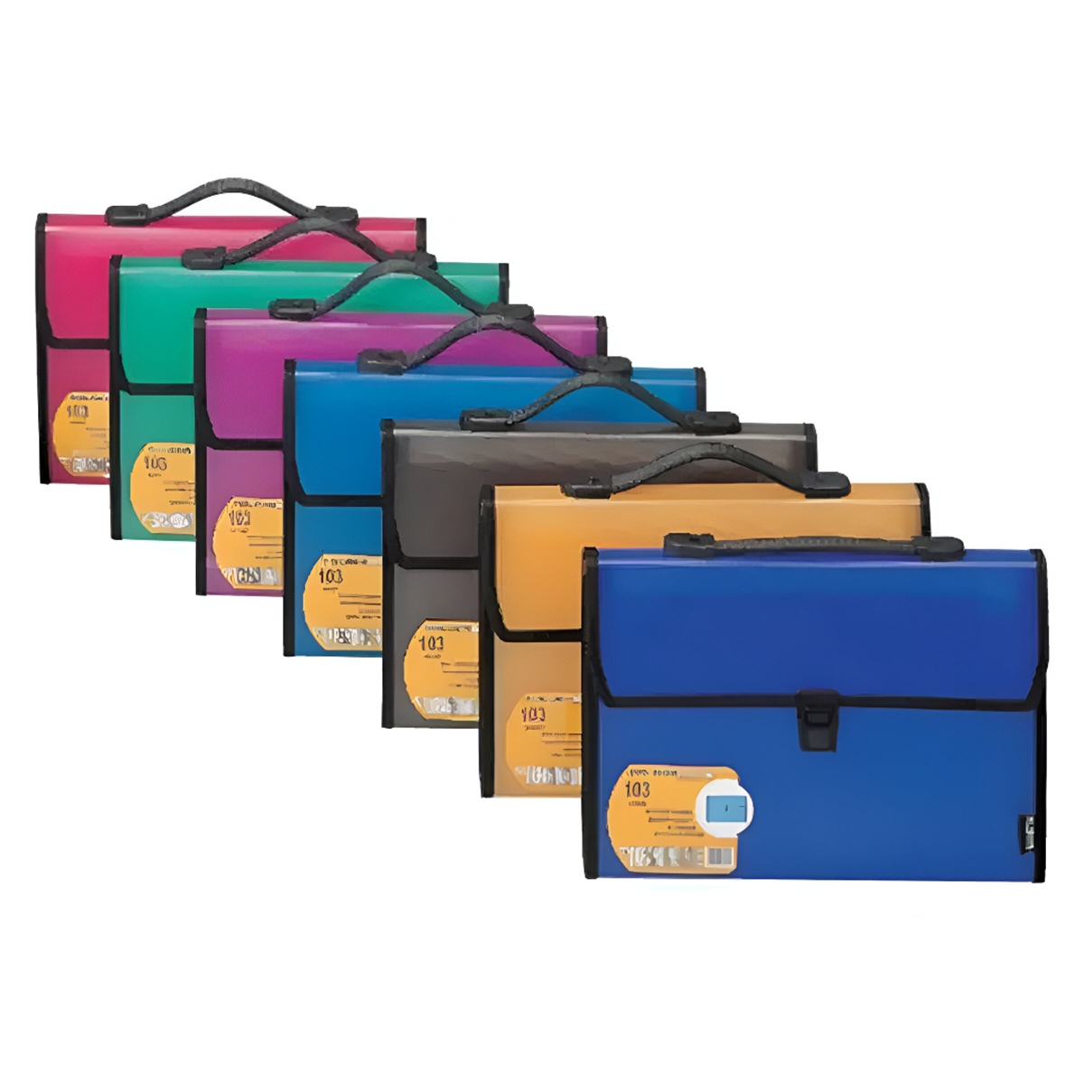 Foldermate 13 Pocket A4 Assorted Expanding File, Pack of 10