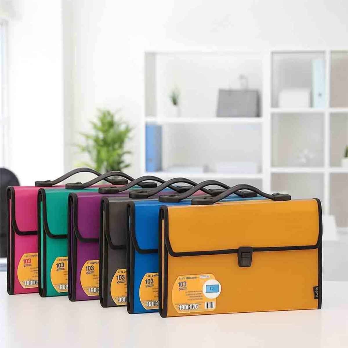 Foldermate 13 Pocket A4 Assorted Expanding File