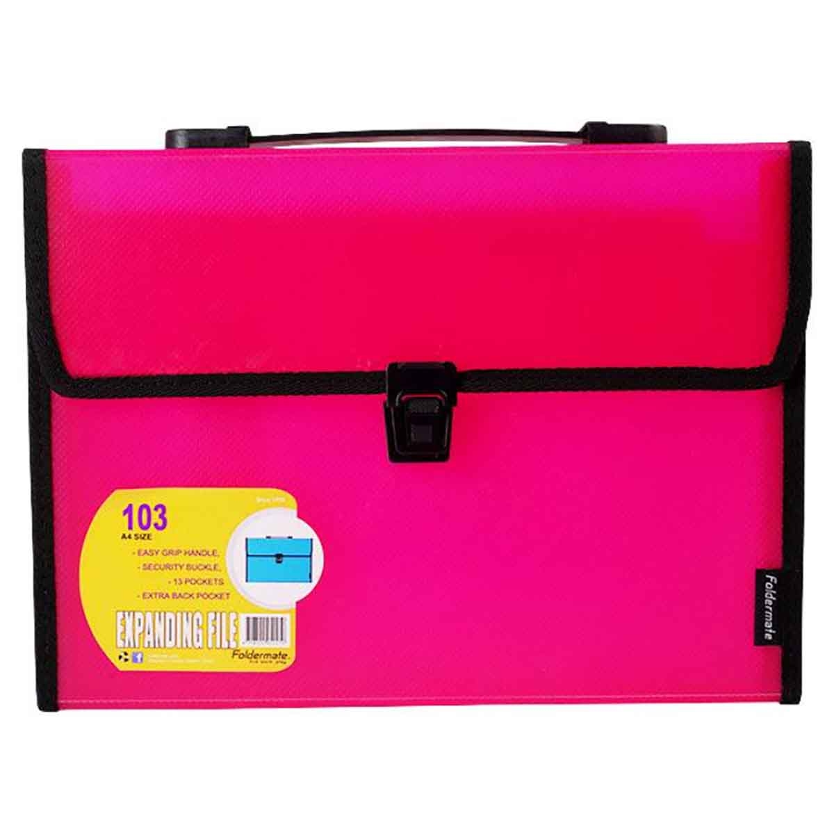 Foldermate 13 Pocket A4 Assorted Expanding File