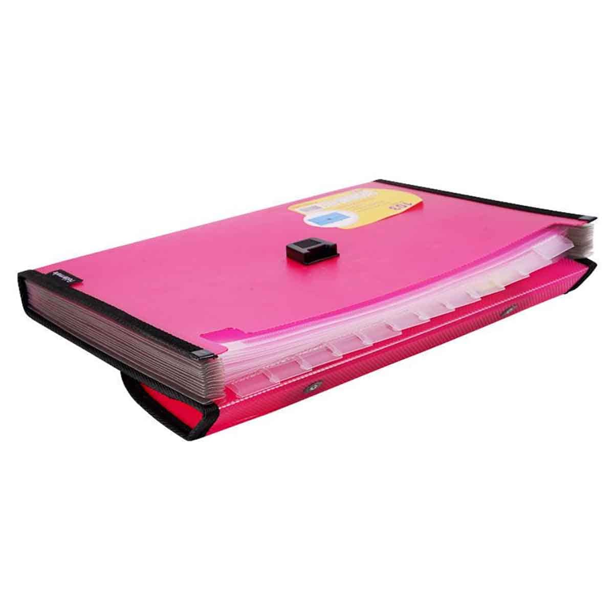 Foldermate 13 Pocket A4 Assorted Expanding File