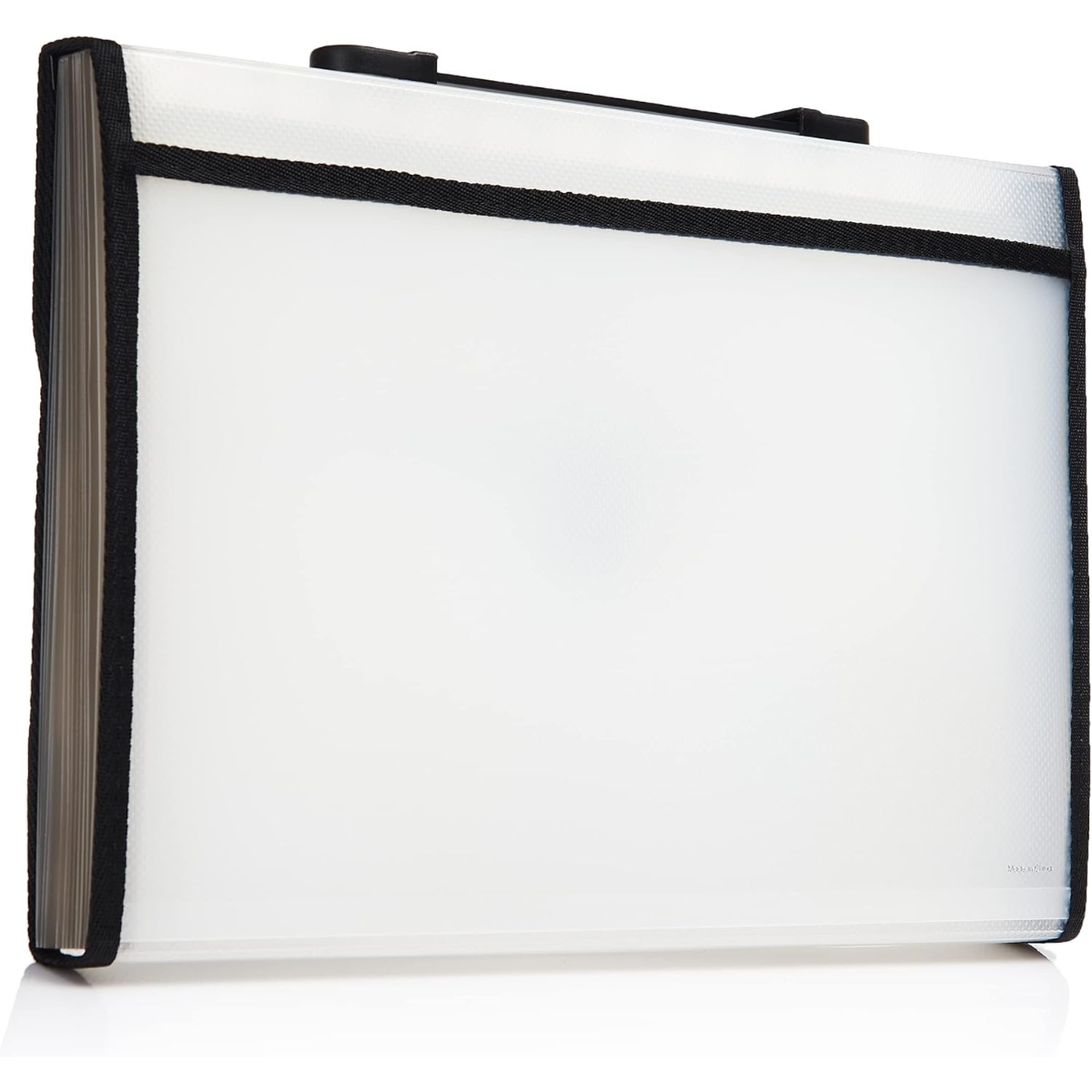 فوردورمايت ملف متوسع بـ 13 جيبًا بحجم A4، ألوان متنوعة، مجموعة من 8