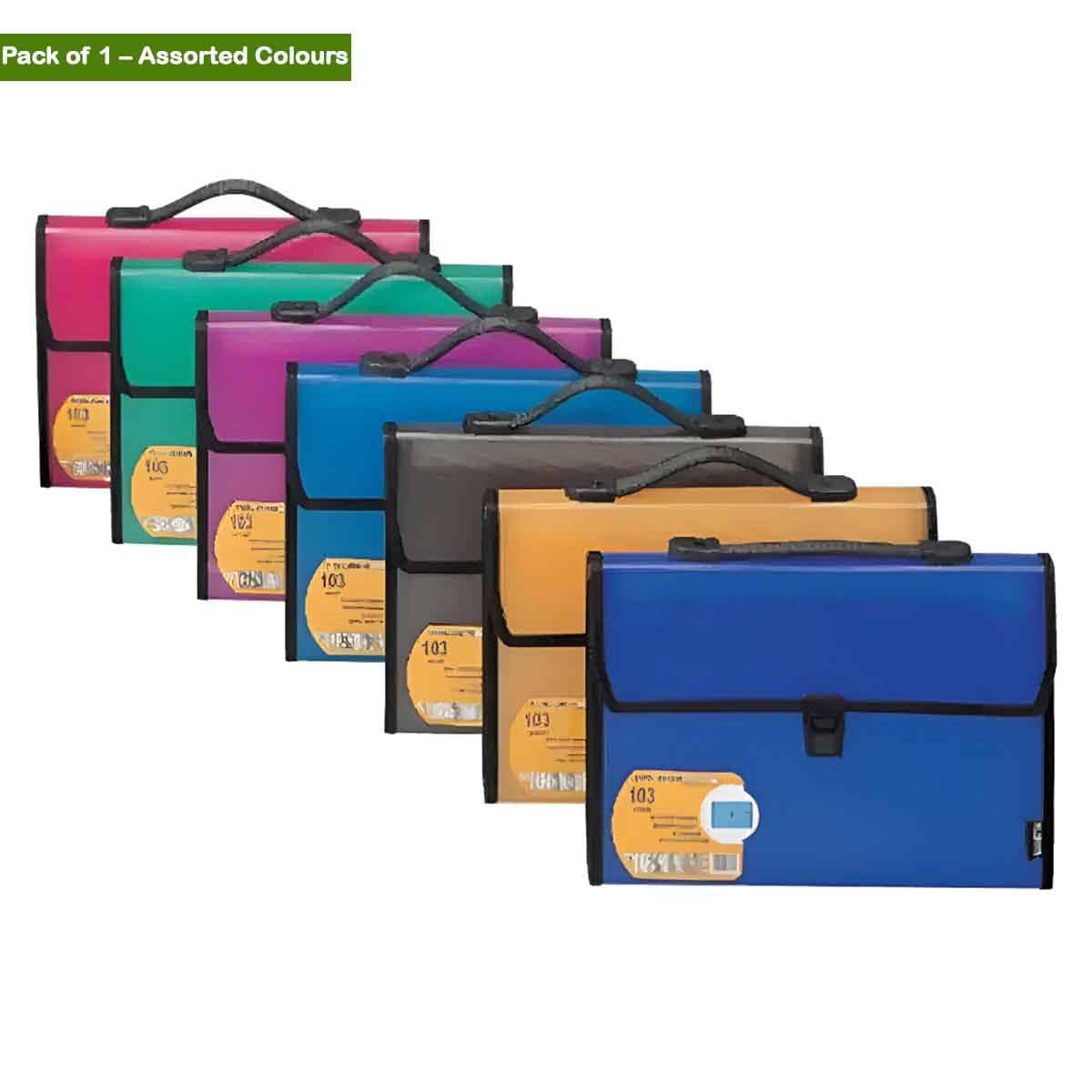 Foldermate 13 Pocket A4 Assorted Expanding File