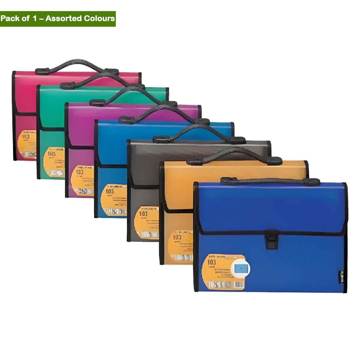 Foldermate 13 Pocket A4 Assorted Expanding File