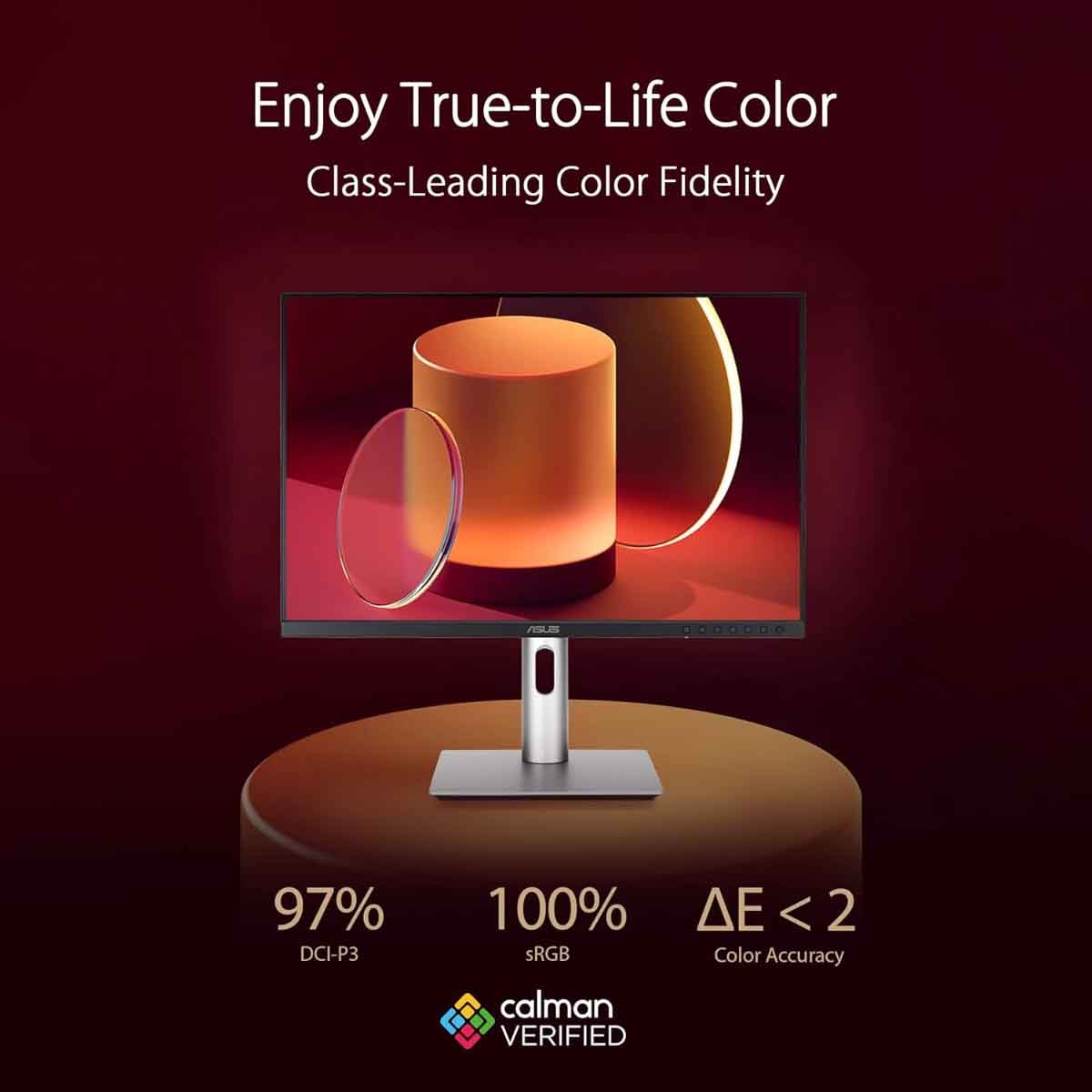 ASUS 24.1" ProArt PA248CRV Professional Monitor