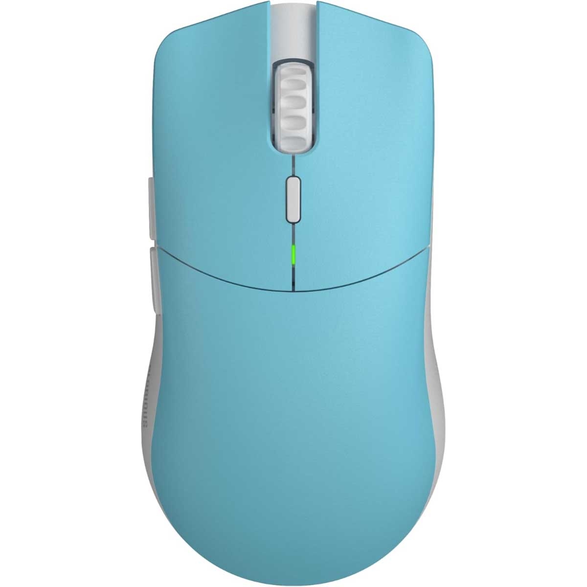 Blue Lynx