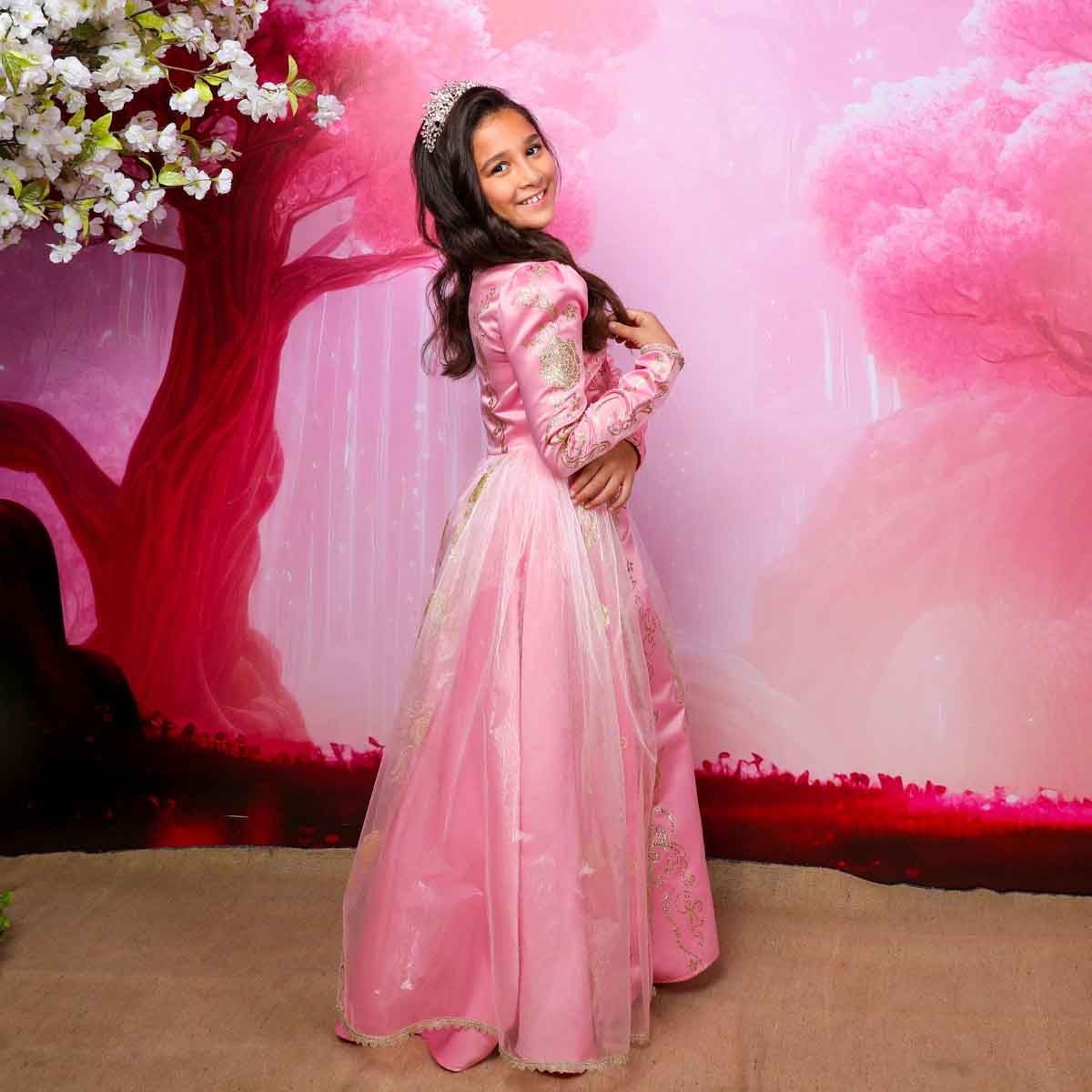 Disney Golden Princess Aurora Prestige Costume