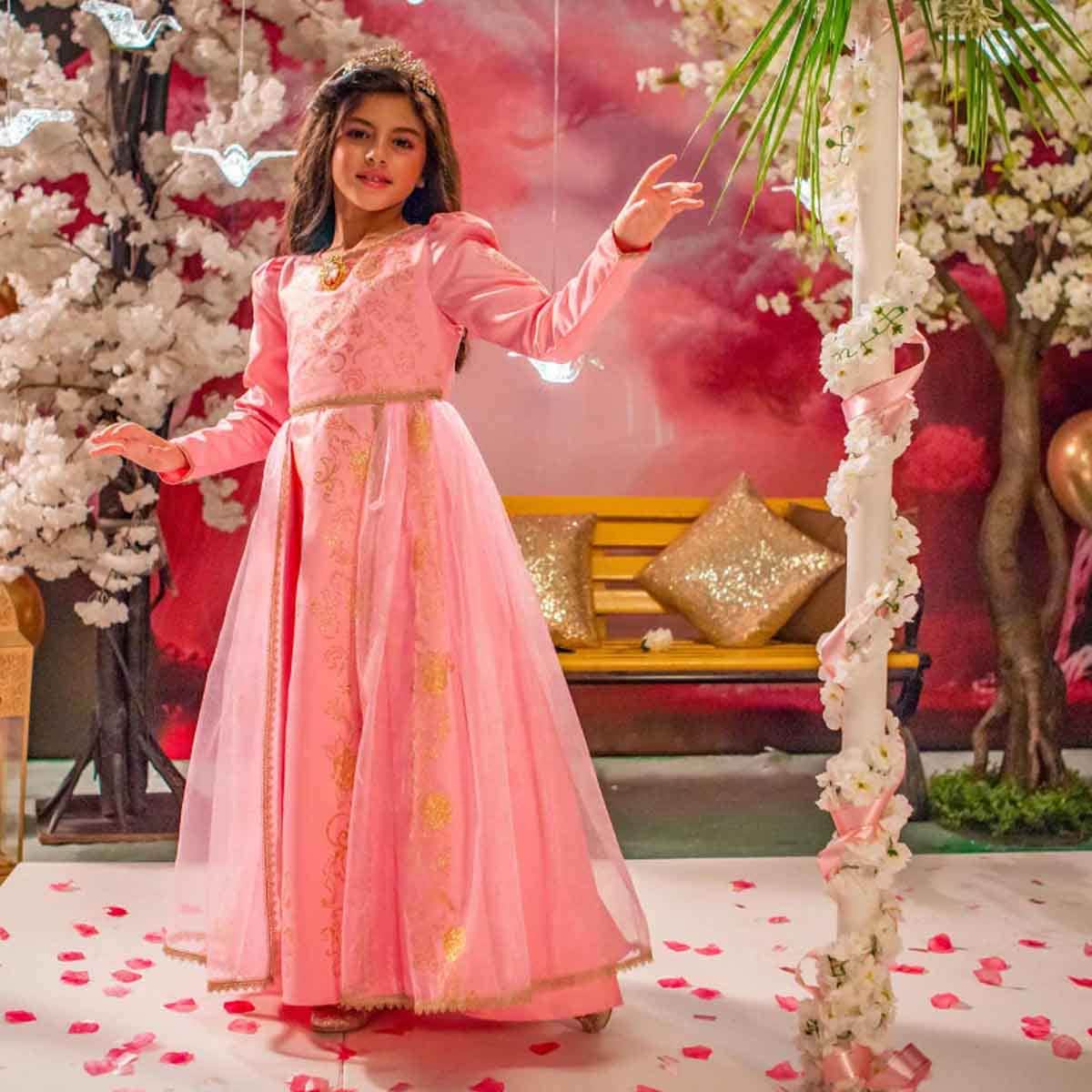 Disney Golden Princess Aurora Prestige Costume