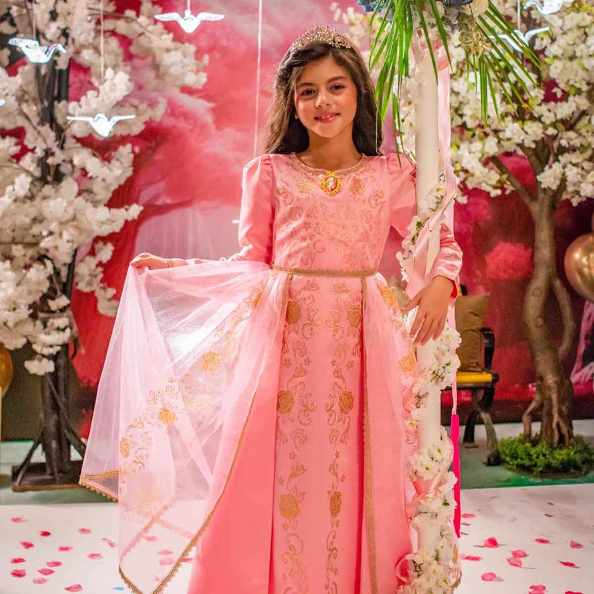 Disney Golden Princess Aurora Prestige Costume