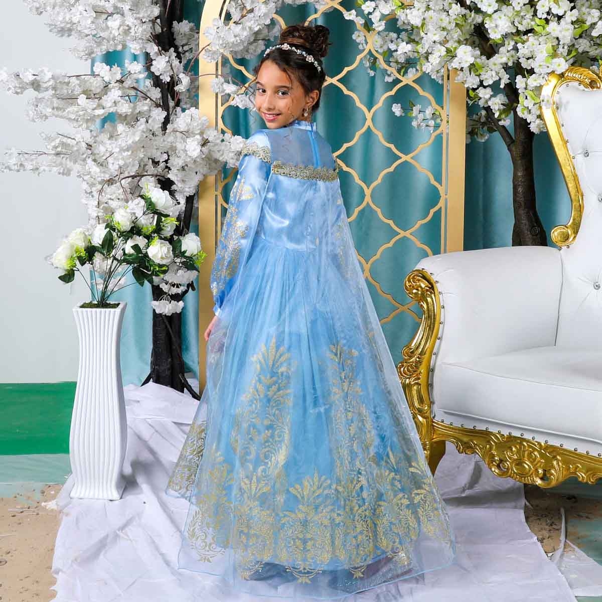 Disney Golden Princess Cinderella Prestige Costume