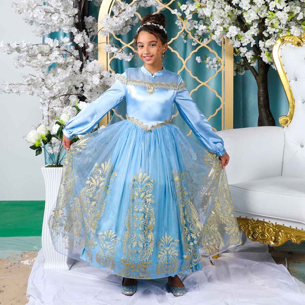 Disney Golden Princess Cinderella Prestige Costume