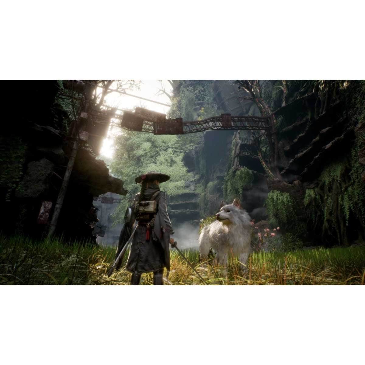 Happinet Beast of Reincarnation Video Game for PlayStation 5
